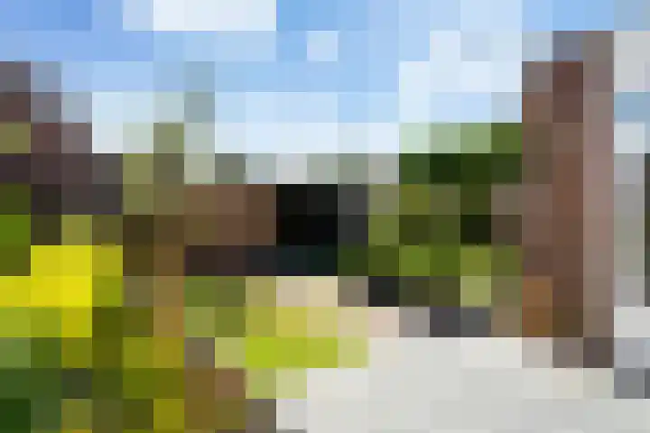 Braamhorst 50 Alphen aan den Rijn thumbnail 39