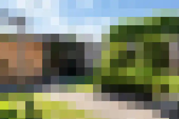 Braamhorst 50 Alphen aan den Rijn thumbnail 41