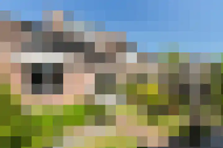 Braamhorst 50 Alphen aan den Rijn thumbnail 42
