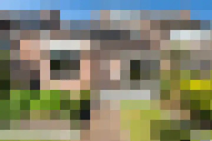 Braamhorst 50 Alphen aan den Rijn thumbnail 43