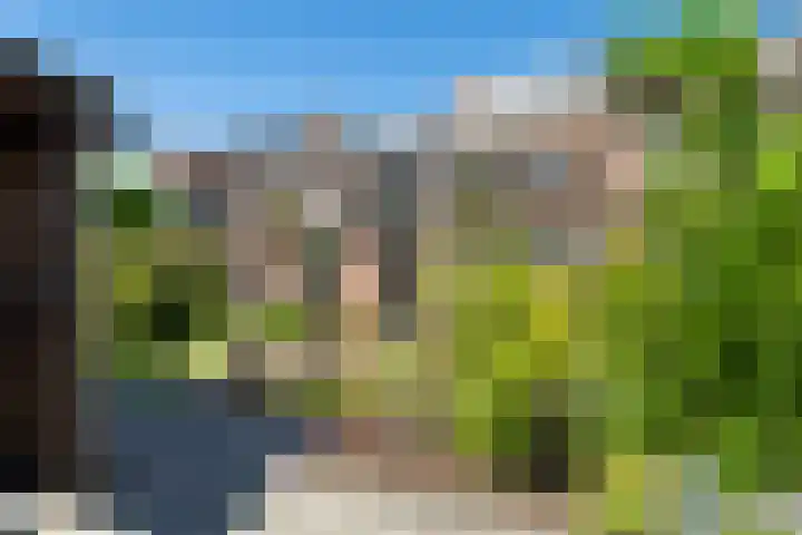 Braamhorst 50 Alphen aan den Rijn thumbnail 44