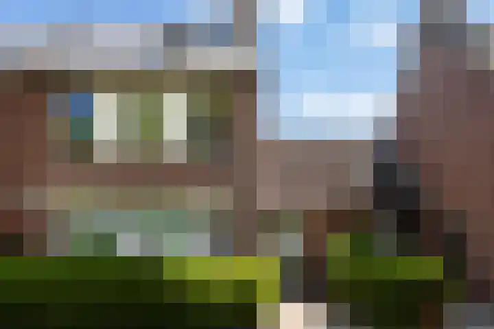 Braamhorst 50 Alphen aan den Rijn thumbnail 7