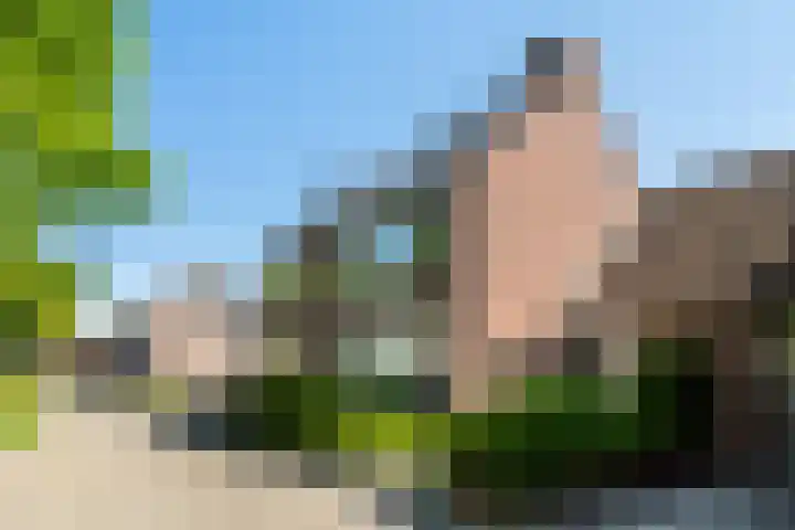 Braamhorst 50 Alphen aan den Rijn thumbnail 8