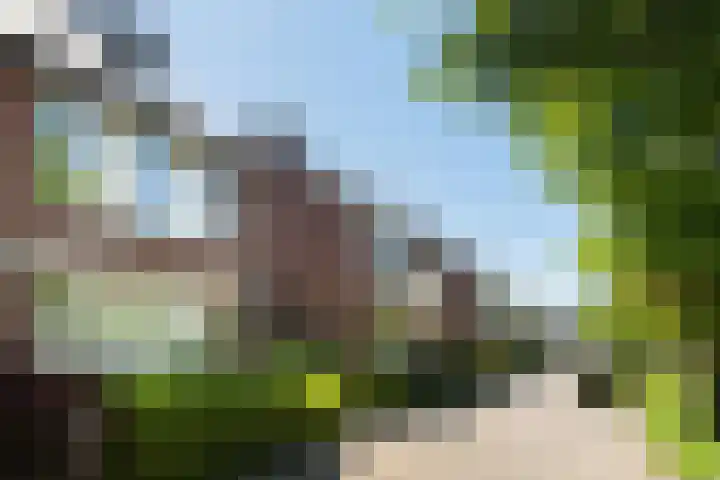 Braamhorst 50 Alphen aan den Rijn thumbnail 9