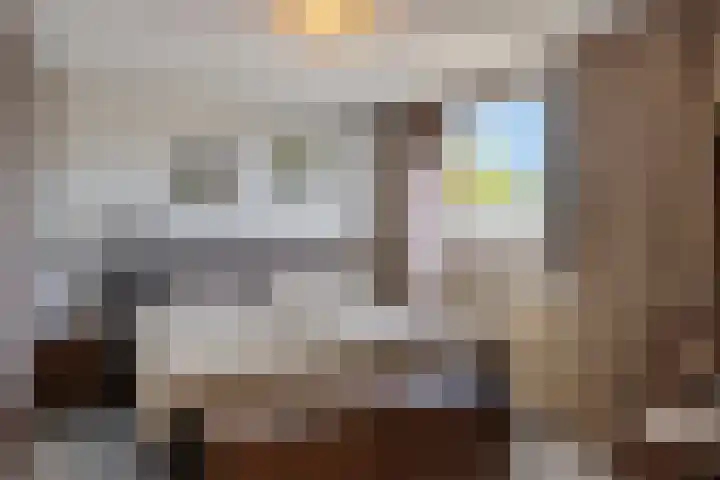 Braamkamp 106 Zutphen thumbnail 12