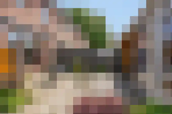 Braamkamp 106 Zutphen thumbnail 24