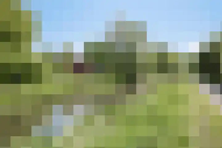 Braamkamp 106 Zutphen thumbnail 26