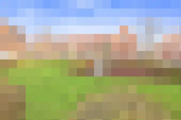 Braamkamp 106 Zutphen thumbnail 8