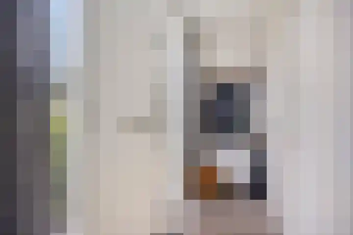 Braamkamp 11 Heerde thumbnail 16