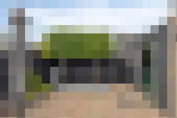 Braamkamp 11 Heerde thumbnail 21