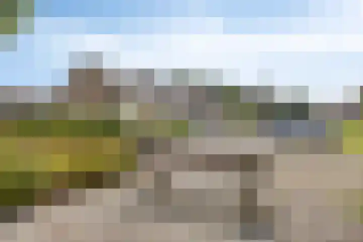Braamkamp 11 Heerde thumbnail 26