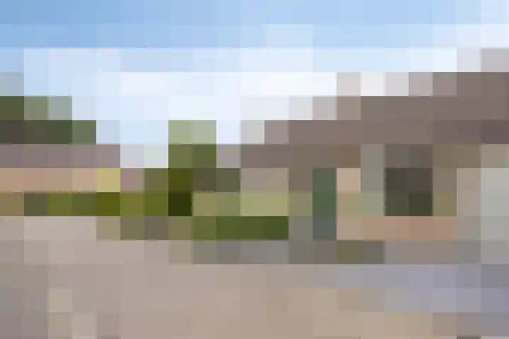 Braamkamp 11 Heerde thumbnail 28