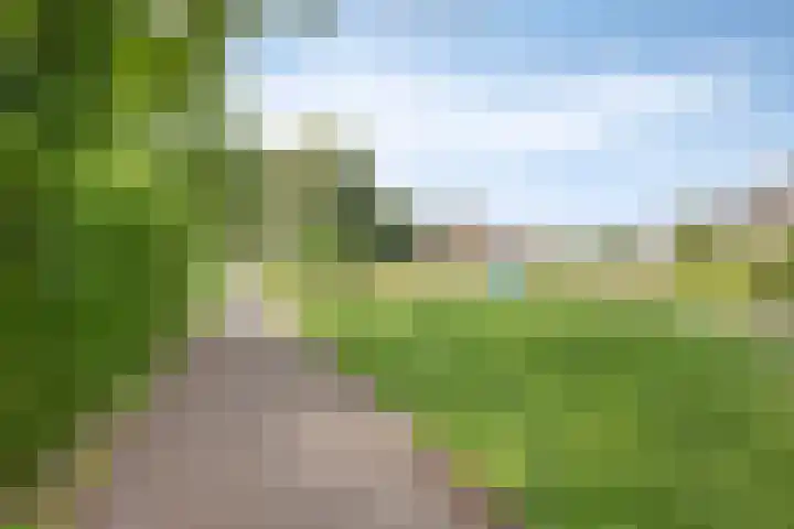 Braamkamp 11 Heerde thumbnail 30