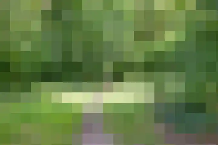 Braamkamp 11 Heerde thumbnail 31
