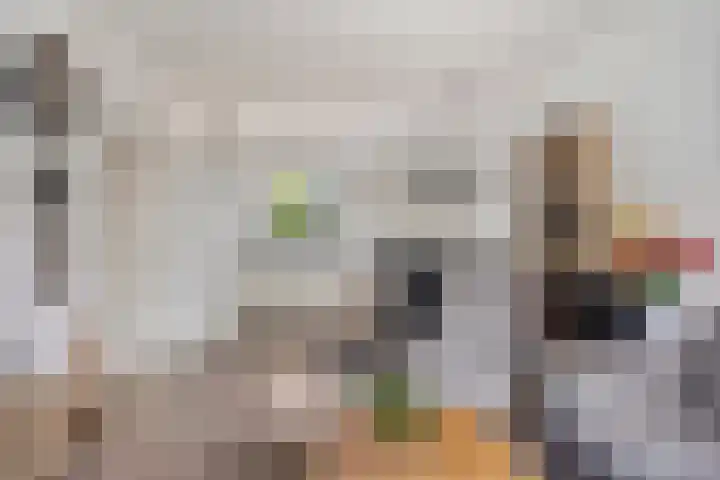 Braamkamp 11 Heerde thumbnail 5