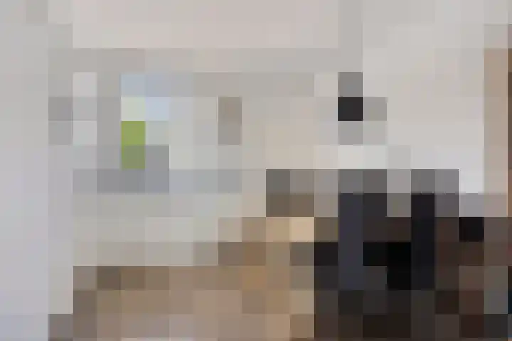 Braamkamp 11 Heerde thumbnail 6