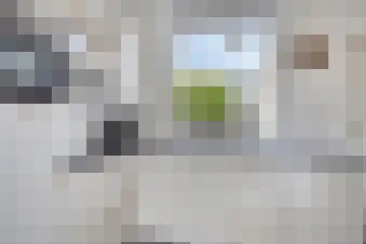 Braamkamp 11 Heerde thumbnail 7