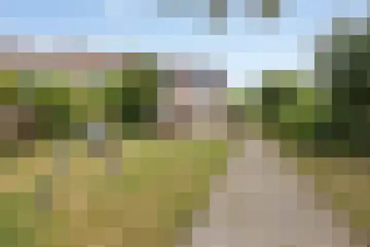 Braamkamp 155 Zutphen thumbnail 34