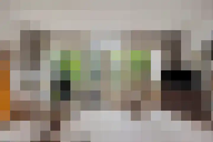 Braamkamp 155 Zutphen thumbnail 8