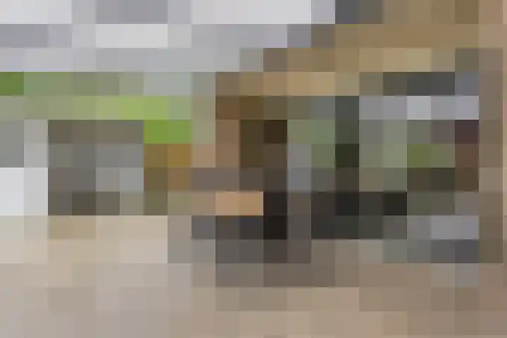 Braamkamp 161 Zutphen thumbnail 34