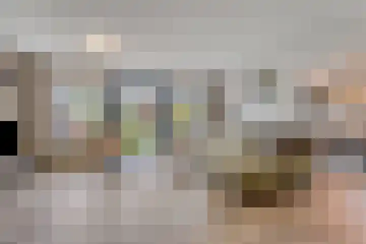 Braamkamp 161 Zutphen thumbnail 4