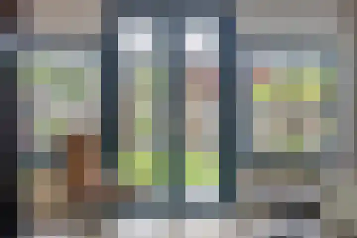 Braamkamp 161 Zutphen thumbnail 6