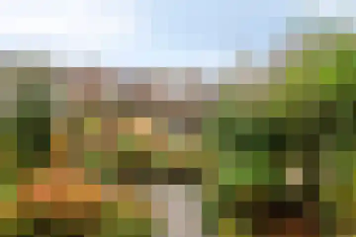 Braamkamp 165 Zutphen thumbnail 27