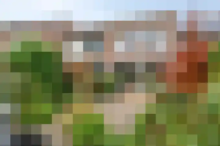 Braamkamp 165 Zutphen thumbnail 28