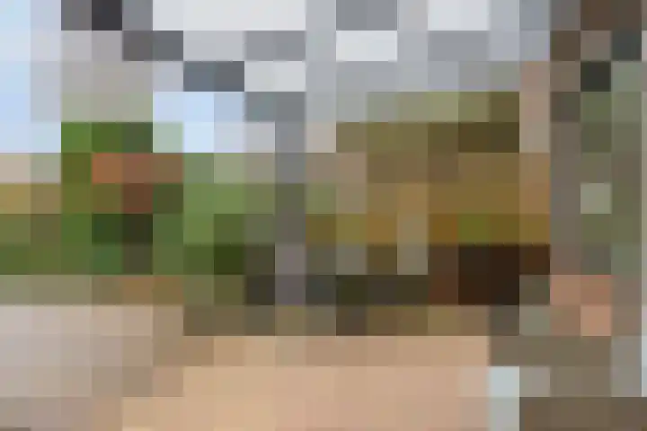 Braamkamp 165 Zutphen thumbnail 30