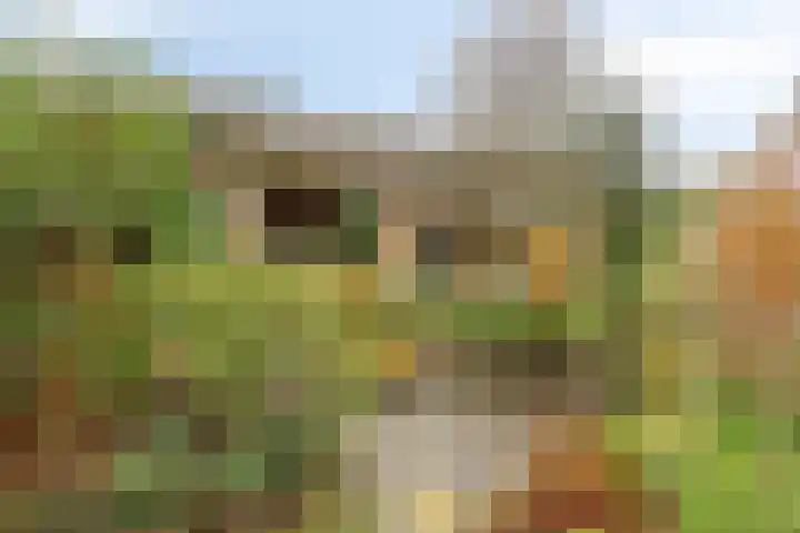 Braamkamp 165 Zutphen thumbnail 32