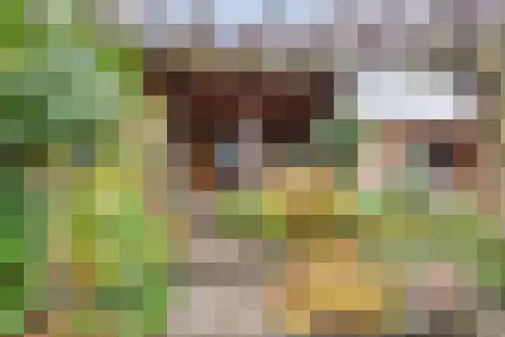 Braamkamp 165 Zutphen thumbnail 33