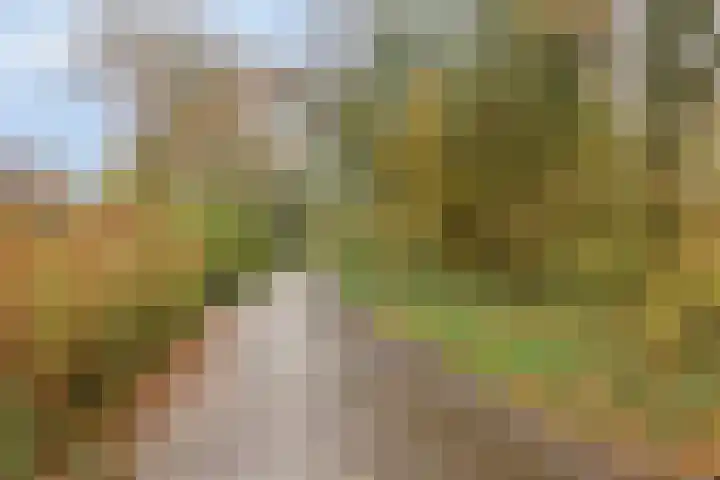 Braamkamp 165 Zutphen thumbnail 38