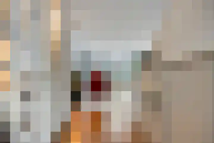 Braamkamp 165 Zutphen thumbnail 6