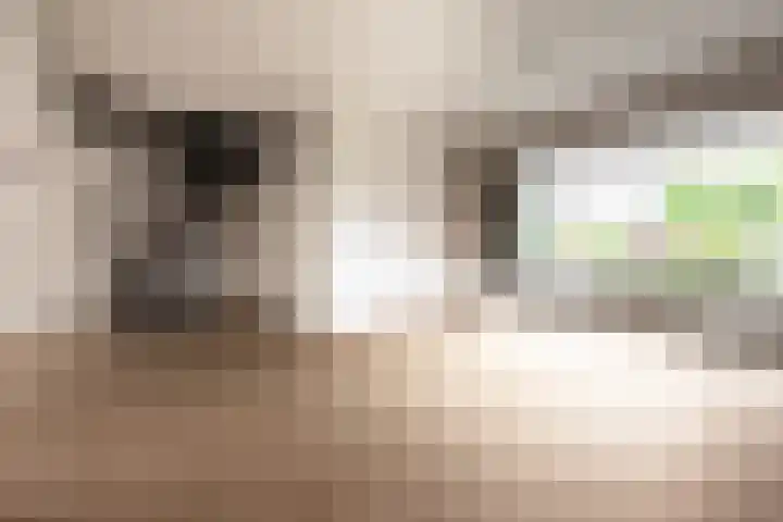 Braamkamp 17 Heerde thumbnail 10