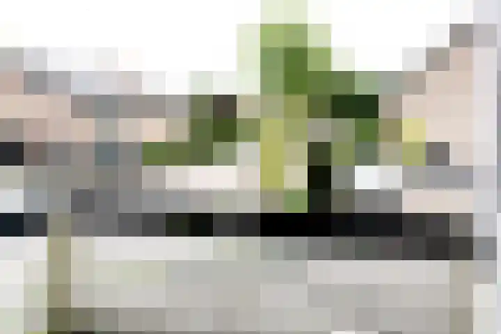 Braamkamp 17 Heerde thumbnail 19