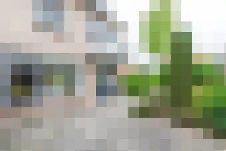 Braamkamp 17 Heerde thumbnail 30