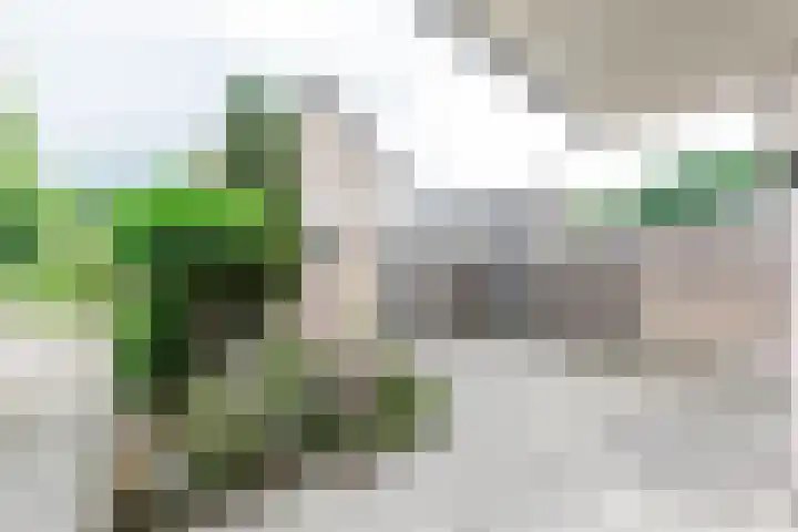 Braamkamp 17 Heerde thumbnail 31