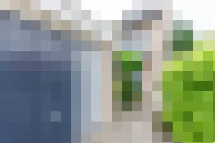 Braamkamp 17 Heerde thumbnail 33