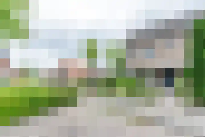 Braamkamp 17 Heerde thumbnail 35