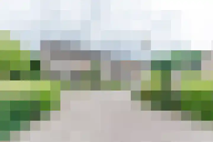 Braamkamp 17 Heerde thumbnail 36