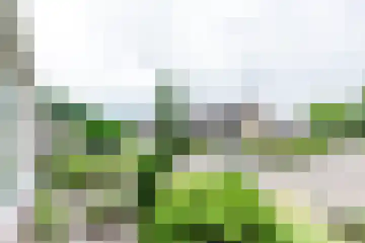 Braamkamp 17 Heerde thumbnail 37