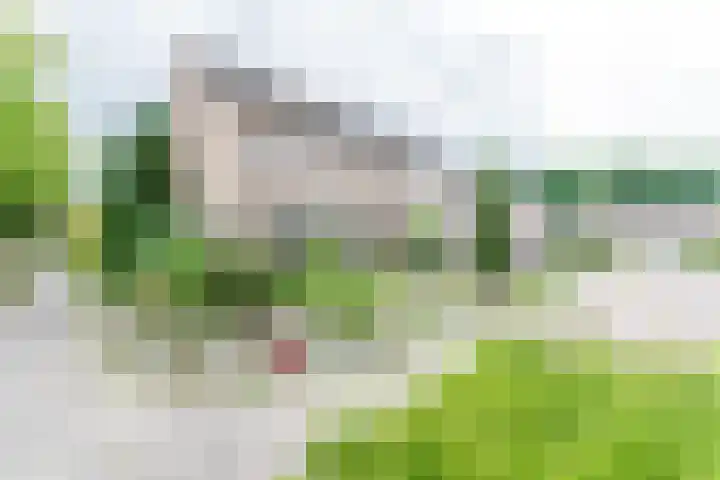 Braamkamp 17 Heerde thumbnail 5