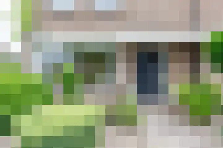 Braamkamp 17 Heerde thumbnail 6