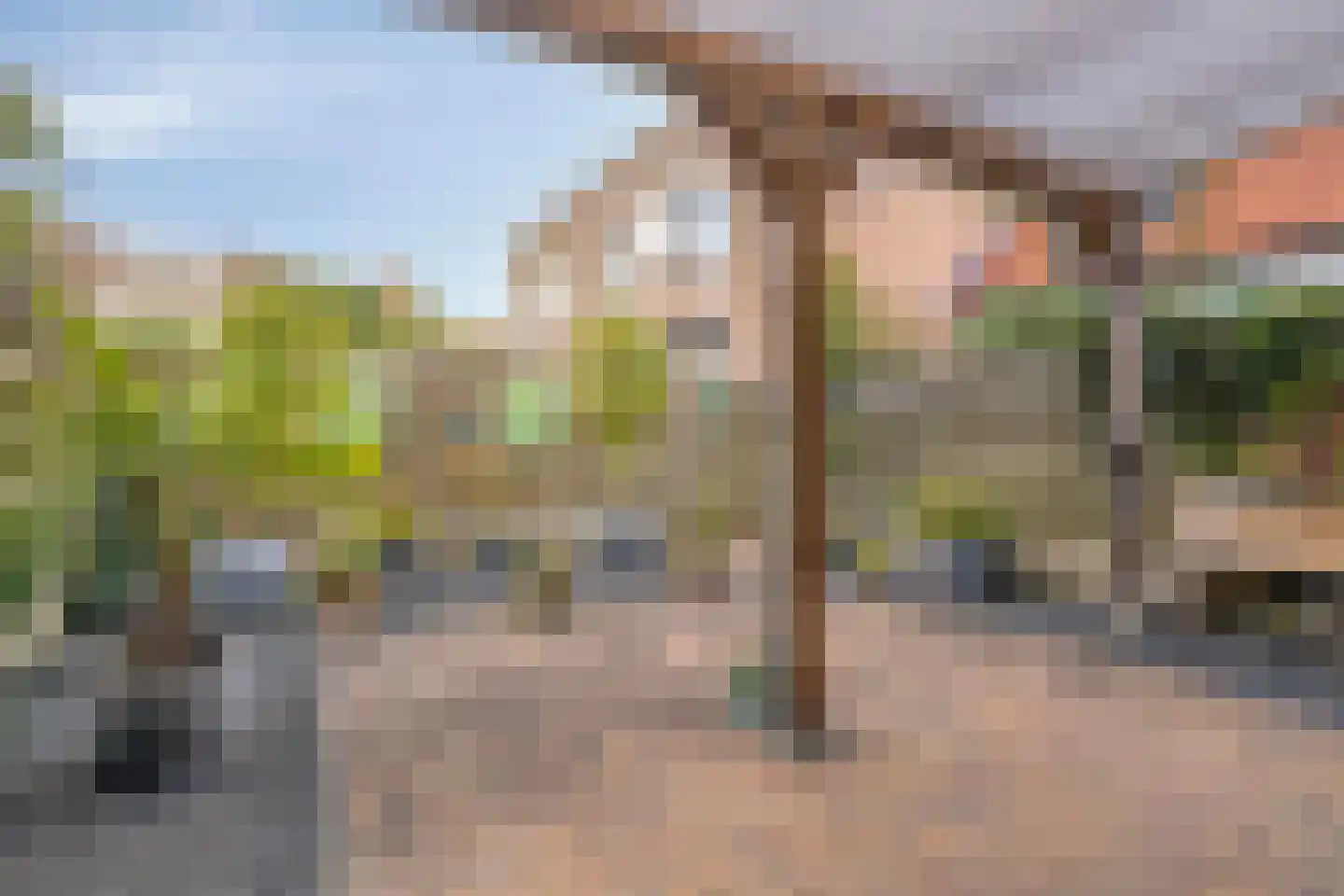 Braamkamp 174 Zutphen thumbnail 17
