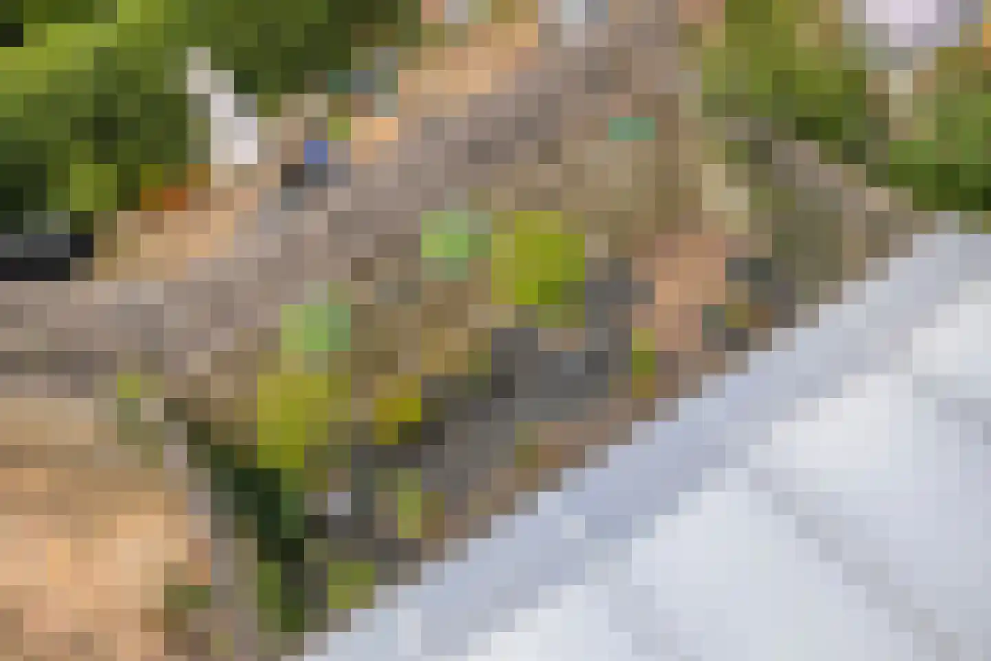 Braamkamp 174 Zutphen thumbnail 33