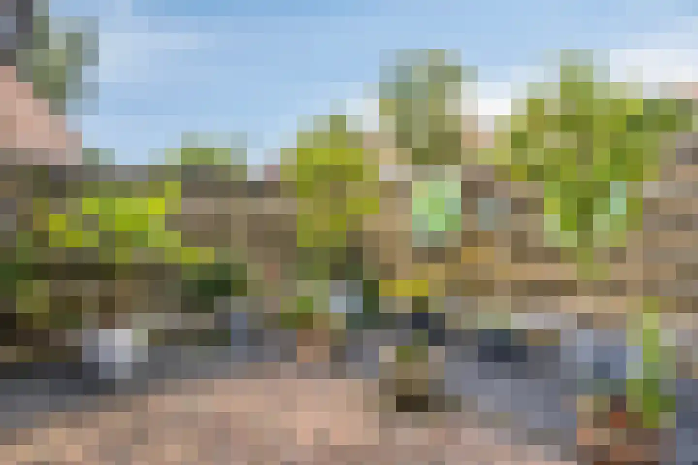 Braamkamp 174 Zutphen thumbnail 34