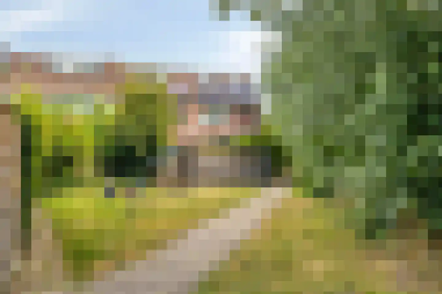 Braamkamp 174 Zutphen thumbnail 38