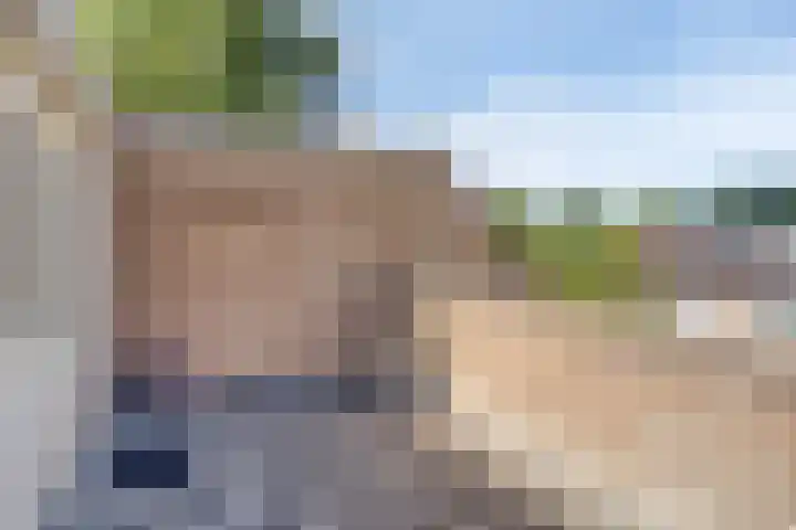 Braamkamp 177 Zutphen thumbnail 31