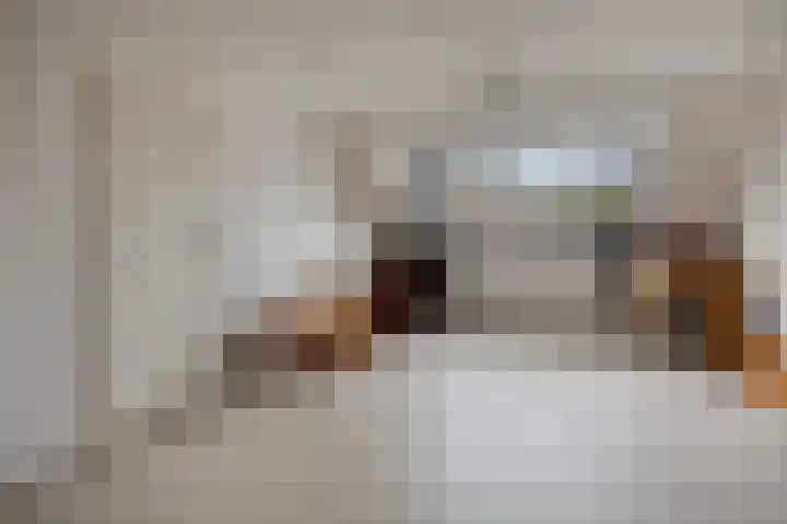 Braamkamp 19 Heerde thumbnail 23