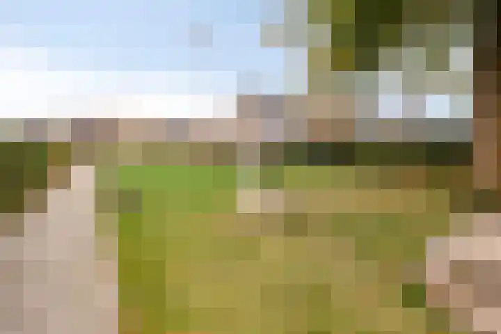 Braamkamp 19 Heerde thumbnail 30